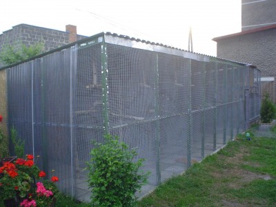 15.JPG