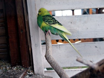 IMG_6813.JPG