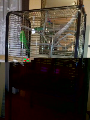 CAM00178.jpg