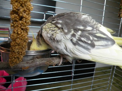 DSCN9024.JPG