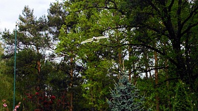 DSC_0032.jpg