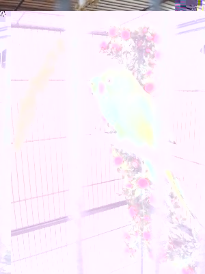 20140720_154925_resized.jpg