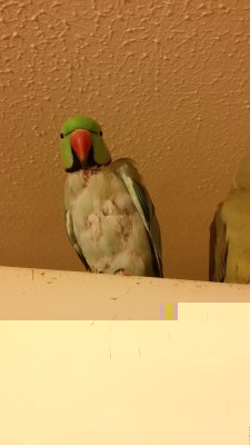 20140928_203120.jpg