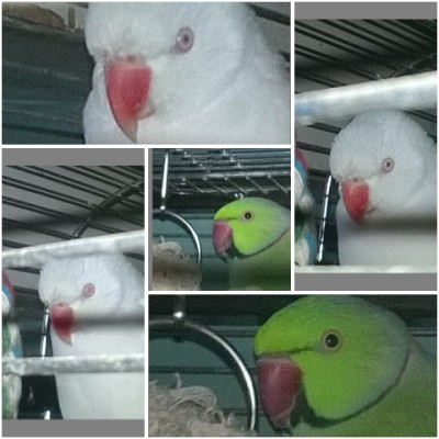 PhotoFrameGrid_635475874385418709.jpg