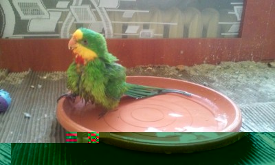 20141005_104335.jpg