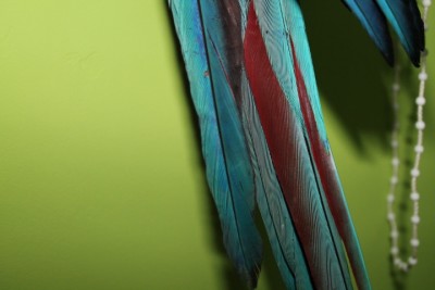 IMG_1833.JPG