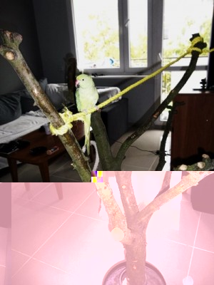 100_2721.JPG