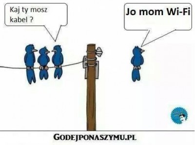soś tam.jpg
