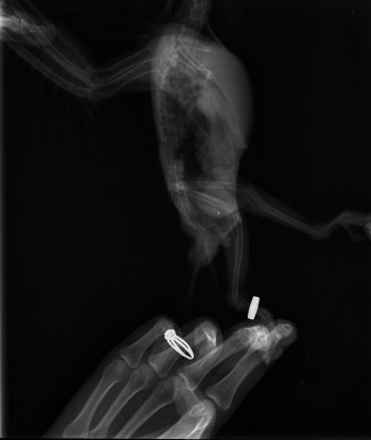 IMG00001.r.jpg