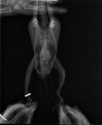 IMG00002.r.jpg