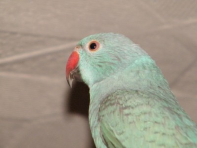 DSCF6100.JPG
