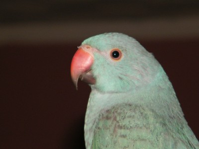 DSCF6103.JPG