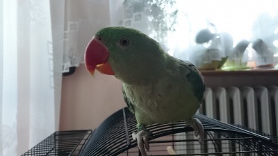 DSC_0042.JPG