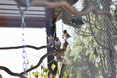 DSC_0596.JPG