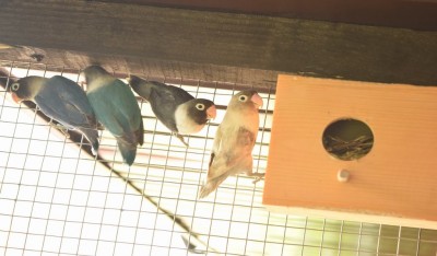DSC_0200.JPG