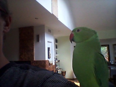20150729_145111.jpg