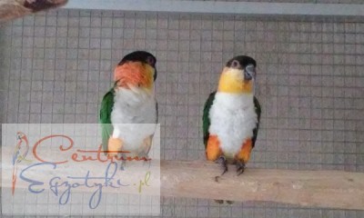 20150919_174426.jpg