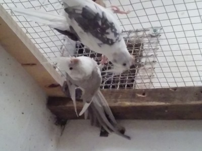20151016_130443.jpg