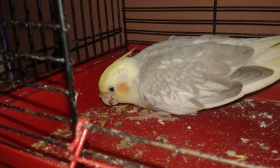 20151111_201525.jpg