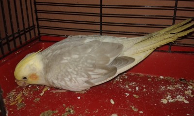 20151111_201457.jpg
