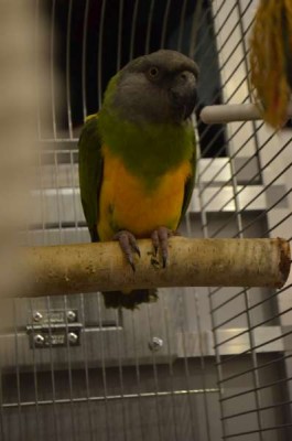 DSC_0504.JPG