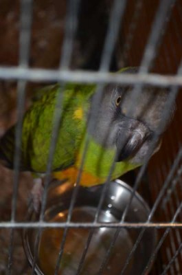 DSC_0514.JPG
