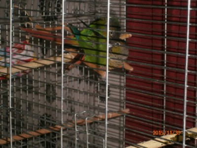 PB300001.JPG