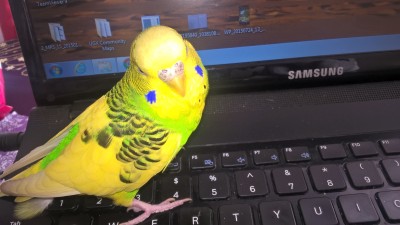 WP_20160103_10_21_32_Pro.jpg