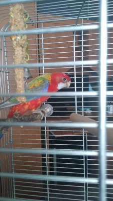 received_1129359877088536.jpeg