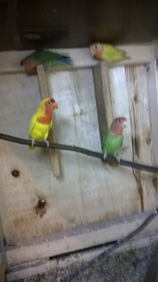 WP_20160427_012.jpg