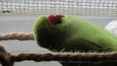 IMG_2120.JPG