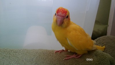 20160706_164235.jpg