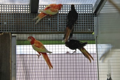 IMG_1459.JPG