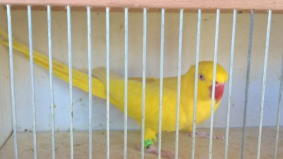 WP_20160815_11_15_11_Pro.jpg