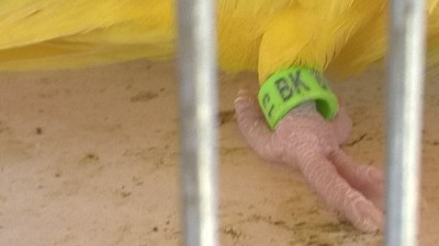 WP_20160815_11_20_07_Pro.jpg