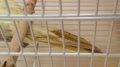 20161004_144017.jpg