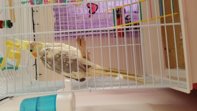 20161004_143842.jpg