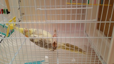20161004_143834.jpg