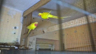 WP_20161119_17_04_37_Pro.jpg