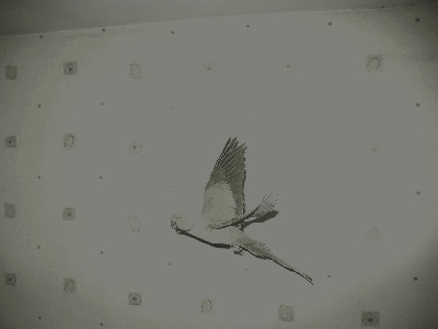 IMG_1489.JPG