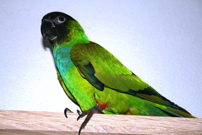 IMG_8646.JPG