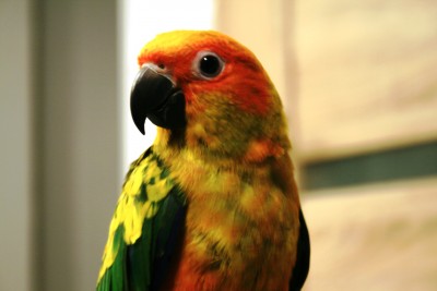 IMG_8604.JPG