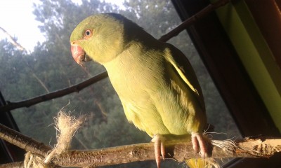 20170331_175942.jpg