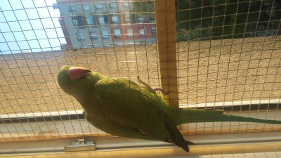 20170528_200133.jpg