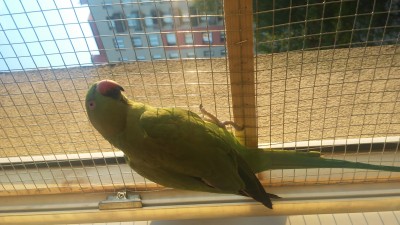 20170528_200130.jpg