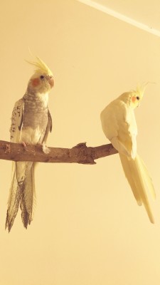 IMG_7426.JPG