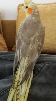 Screenshot_20180104-090859.jpg