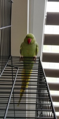 IMG_20180423_110146.jpg