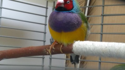 IMG_20180515_140117.jpg