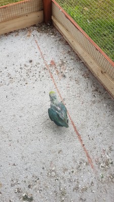 20180731_064330.jpg